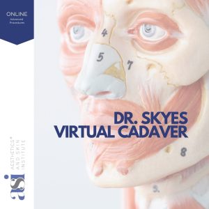 Skyes Cadaver Dissection and Injection Course in 2D/3D